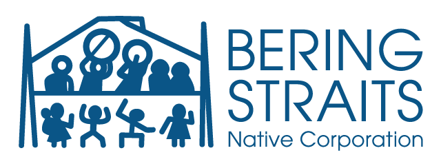 BSNC Corporate Logo - Blue