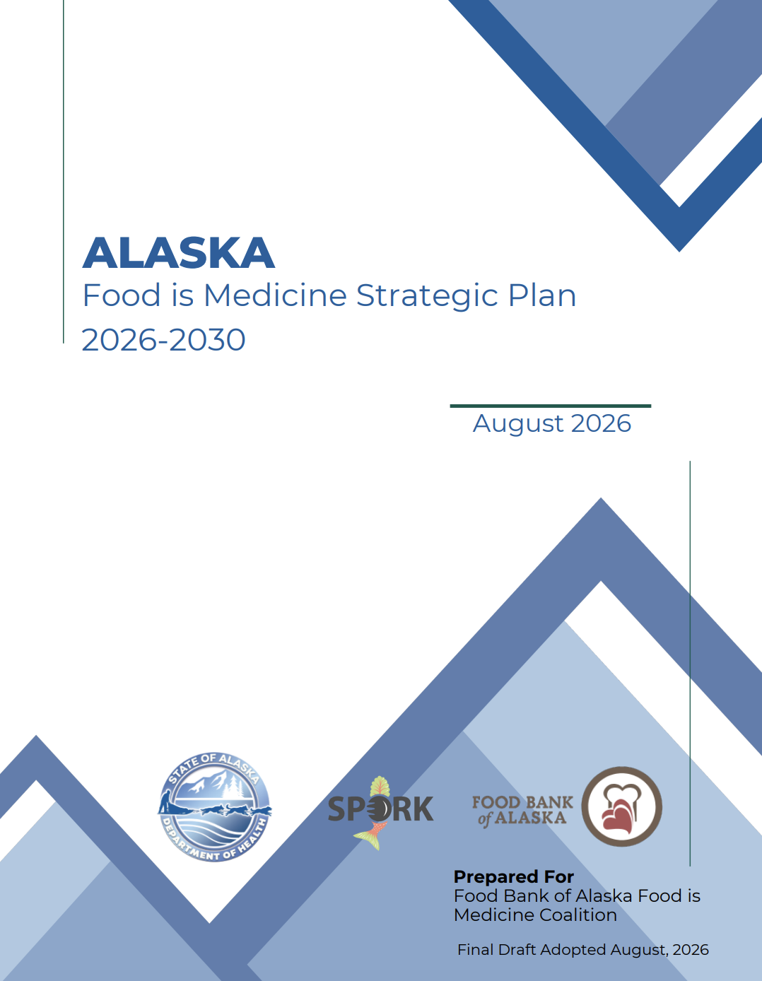FIM Strategic Plan Cover