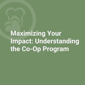 Maximizing Your Impact: Understanding the Co-Op Program